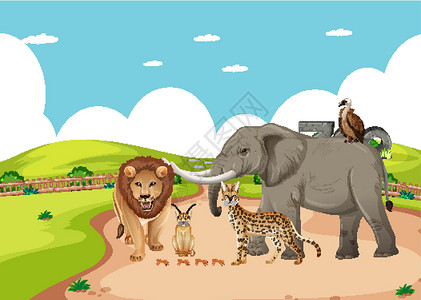 动物园管理员动物园场景中的一群野生非洲动物环境动物群插图风景天空卡通片生物食肉丛林公园设计图片