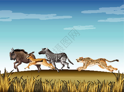 草原里斑马猎豹在野外追逐许多动物的场景设计图片