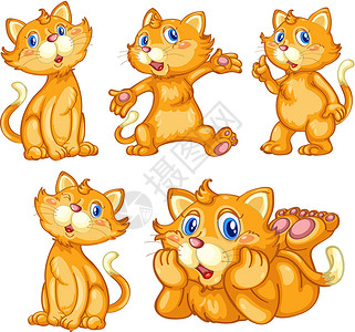 查拉卡特卡特塞尾巴毛皮吉祥物生物乐趣胡须虎斑猫科动物动画小猫设计图片