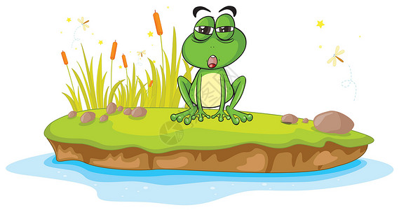三只青蛙青蛙和水昆虫荒野植物群眼睛岩石飞行野生动物池塘草地动物设计图片
