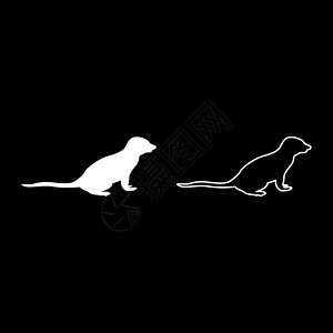苏里卡塔介质为的短距光影白色矢量插图 固体轮廓样式图像异国宠物动物园动物荒野情调鼻子姿势动物学野生动物设计图片