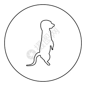 龇牙咧嘴将的光束放在圆环黑色矢量插图轮廓图像样式中圆圈动物学荒野姿势猫鼬圆形宠物野生动物情调异国设计图片