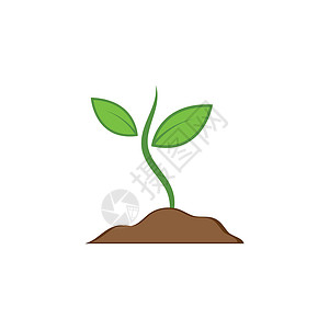 软抄本植物矢量图标它制作图案叶子植物群花园植物学花盆林木海报生长白色盆栽设计图片