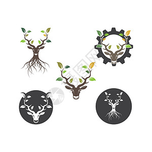 鹿头发箍鹿头树与叶概念设计图标矢量图图标矢量设计荒野生态动物园小鹿男性分支机构鹿角驯鹿哺乳动物尾巴设计图片