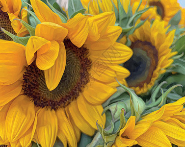 向日葵特写特写花园里的向日葵场地宏观阳光花粉太阳种植园橙子植物学花瓣季节设计图片