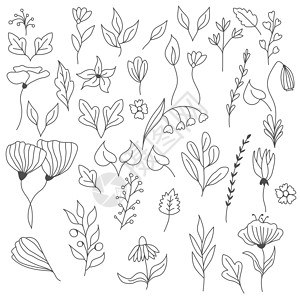 元素植物花朵用于设计明信片问候 婚礼 周年庆典和创意设计的涂鸦风格手绘花卉和草药元素的矢量集设计图片