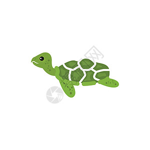 海龟科动物它制作图案的龟图标矢量图住宅海龟海洋形式爬虫生物脚蹼灭绝水龟插图设计图片