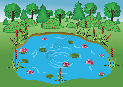 睡莲湖自然景观 森林湖睡莲设计图片