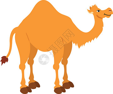 单峰在白色背景上孤立的的矢量插图 剪贴画独峰骆驼设计图片