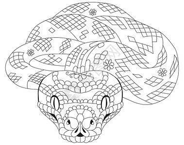 页头Zentangle 蛇 着色素的手绘装饰矢量图设计图片