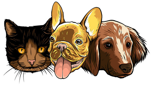 史韵有史以来最好的朋友的插图猫和狗 vecto小猫幸福乐趣宠物绘画剪贴快乐幽默标签尾巴设计图片
