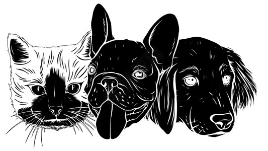 猫和狗图片有史以来最好的朋友的插图-黑色剪影猫和狗 vecto设计图片