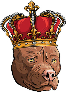 肖像结束矢量狗插画国王在白色背景艺术小狗卡片衬衫眼睛犬类斗牛犬吉祥物作品卡通片设计图片