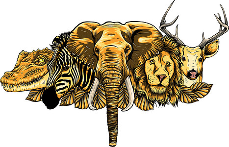 黑犀牛在白色背景上的卡通非洲野生动物荒野犀牛团体漫画斑马情调植物爬虫捕食者食肉设计图片