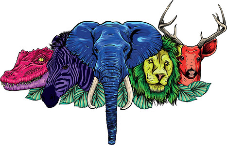 非洲草原狮子在白色背景上的卡通非洲野生动物荒野犀牛捕食者树叶斑马生物卡通片动物群植物动物园设计图片