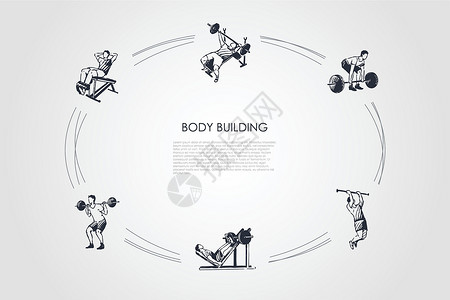 运动强度健身男子在健身房矢量概念 se 中用杠铃锻炼哑铃运动员身体插图二头肌男人活力草图手臂重量设计图片
