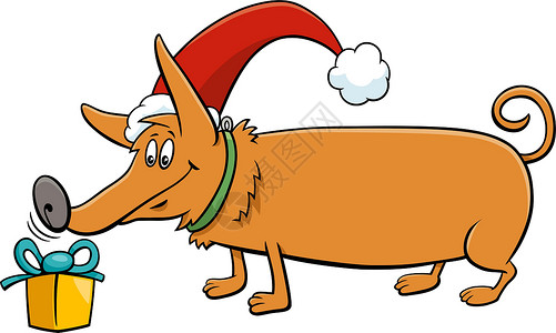 卡斯罗犬圣诞礼物卡通狗宠物帽子时候插图礼物庆典问候犬类吉祥物假期设计图片