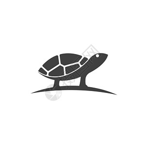 红脚龟乌龟动物卡通 ico海龟栖息地爬虫移民灭绝海滩生态脚蹼甲壳住宅设计图片