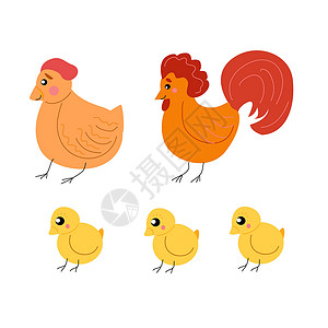 鸡中亦白色背景中带母鸡和小鸡的公鸡设计图片