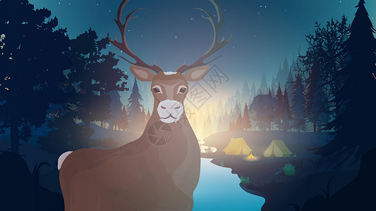 圣诞篝火森林夜景 有一条河的森林 有角特写的鹿羚羊景观鹿角荒野场地哺乳动物国家动物群野生动物公园设计图片
