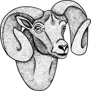 护照画写实羊 手绘牛动物放牧矢量图 农场宠物 和设计的插图 农场动物素描写实风格的剪贴画绘画纺织品内存哺乳动物标签卡通片海报羊毛食物艺术品设计图片