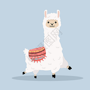 澳大利亚羊驼长毛卡通矢量设计图片