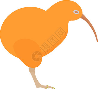 不会说Kiwi鸟类矢量说明 白色背景的Kiwi鸟类设计图片