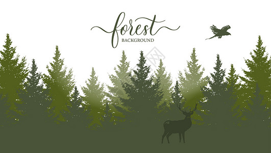 长冠鹰矢量长的森林景观 包括树木 野兽鹿和鹰鸟的绿光影设计图片