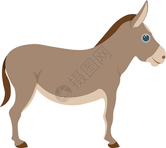 马眼睛可爱的驴卡通插图设计图片