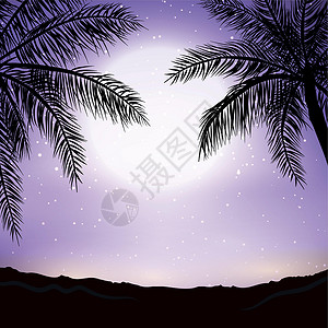 海滩在晚上海滩背景的夜幕全景 有棕榈树星星海洋休息月亮棕榈地平线热带蓝色日出橙子设计图片