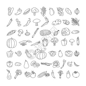 蔬菜元素图标蔬菜元素涂鸦线集 在练习本上徒手画水果和蔬菜 矢量图 放设计图片
