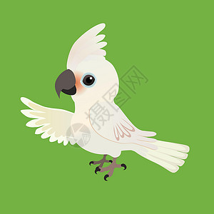 飞翔的鹦鹉鹦鹉凤头鹦鹉讲话宠物鸟舍翅膀插图动物漫画荒野羽毛动物园设计图片