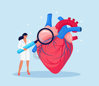 心脏病学 检查心脏健康和心血管压力 心脏病专家用放大镜研究人体器官 循环系统并发症 缺血性心脏 冠状动脉疾病脉冲考试有氧运动监视设计图片