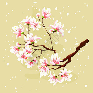 蔷薇科樱属植物樱花枝和飞花花瓣设计图片