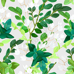宝马i8手画了新鲜的春天无缝图案 花的背景设计配有绿色叶子 辅助植物和白百合花 矢量 I 说明生态季节艺术晴天花园婚礼墙纸森林投标织物设计图片