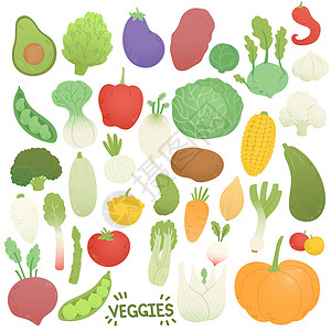 木耳白菜蔬菜放矢量 菜用公寓型蔬菜设计图片