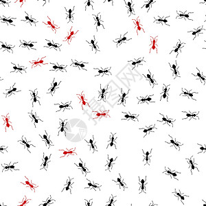 甲虫黑色矢量Ants 无对称模式害虫白蚁蚊子踪迹蟑螂涂鸦草图团体动物团队设计图片