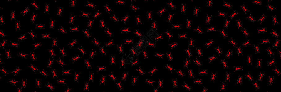 矢量Ants 无对称模式墙纸蚊子蜘蛛踪迹植物白蚁昆虫野生动物团队插图设计图片
