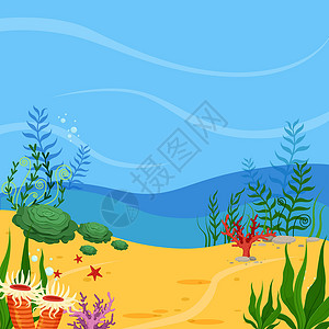 珊瑚海海洋沙地 有珊瑚和植物;水下景观背景设计图片