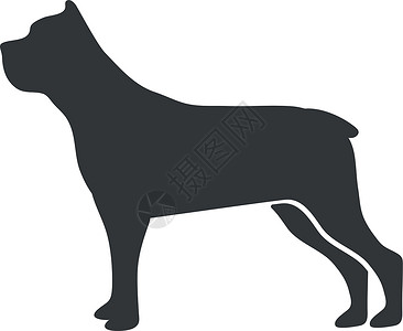 纯种狗鼠尾公牛环形光影 罗威勒朋友大狗 矢量图标的标志设计图片