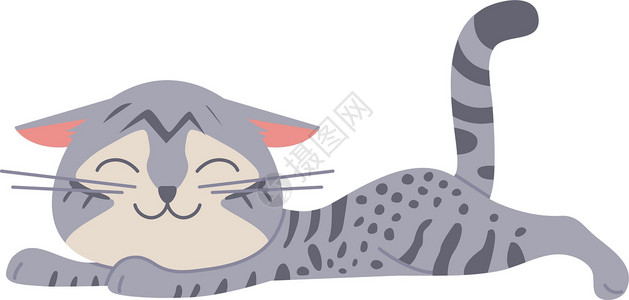 笑着的猫睡猫笑着的睡猫 灰色条纹宠物快乐设计图片