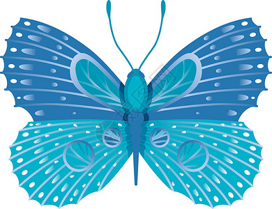 异形蓝蝴蝶 高丽翅膀装饰性飞蛾设计图片