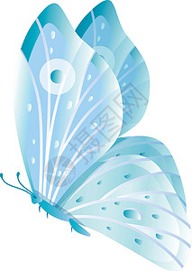 蝴蝶有蓝色翅膀的雕像 飞蛾图片