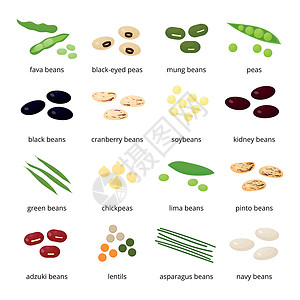 芦笋绿卡通豆和豆子都装好了设计图片