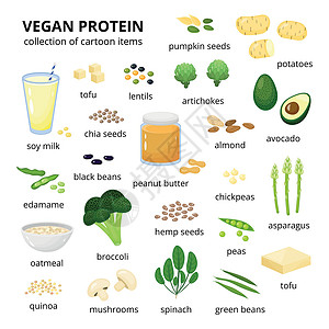 藿香蓟一套素食蛋白质来源设计图片