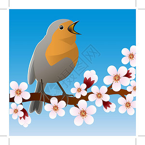 石榴枝元素春鸟坐在开花枝上 矢量插图枝条动物花园野生动物宠物花瓣季节植物音乐荒野设计图片