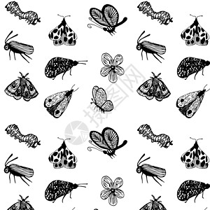 蛾昆虫 蝴蝶和花朵的无缝病媒模式设计图片
