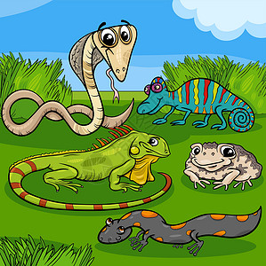 变色龙蜥蜴卡通爬行动物和两栖动物字符组设计图片