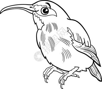 煤山雀卡通蜂蜜鸟 动物性格颜色页面设计图片