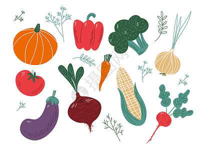 美味茄子大量彩色大手绘制了白色背景上孤立的新鲜美味蔬菜 平板卡通矢量插图 EPS设计图片